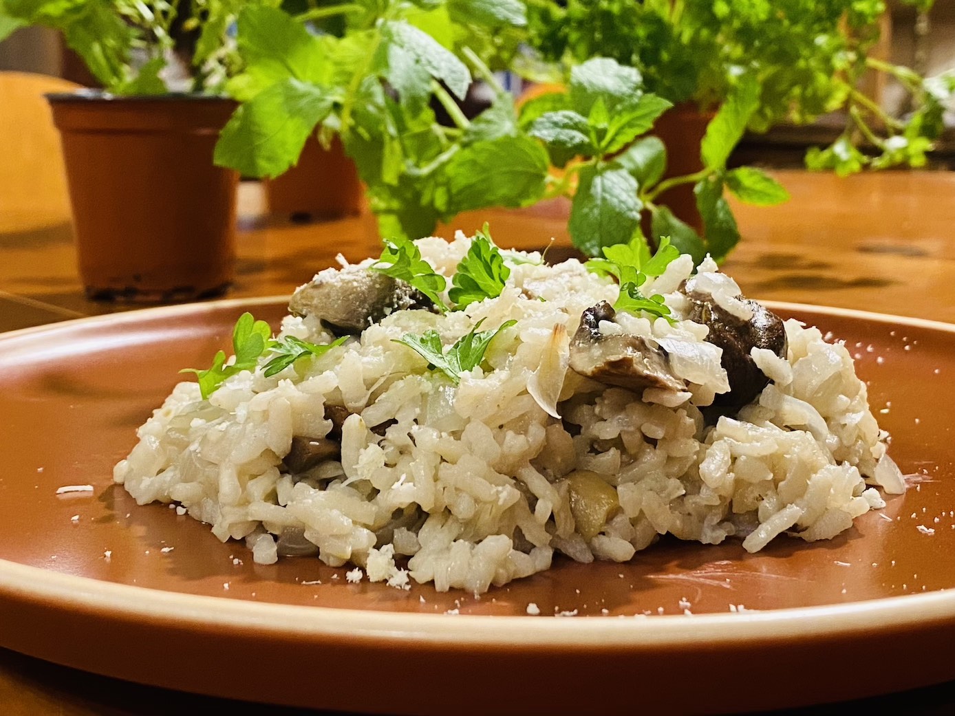 Risotto aux champignons